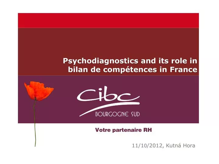 psychodiagnostics and its role in bilan de comp tences in france