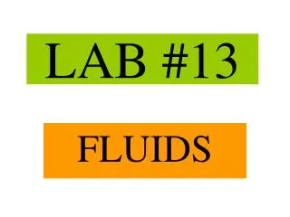 LAB #13