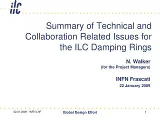 Summary of Technical and Collaboration Related Issues for the ILC Damping Rings