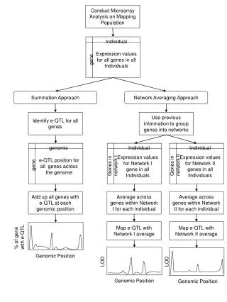 Conduct Microarray Analysis on Mapping Population