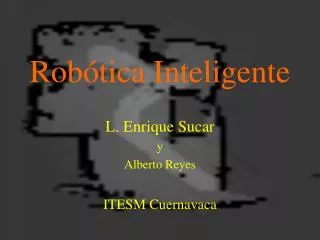 rob tica inteligente