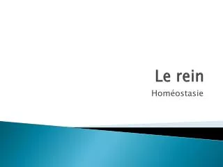 le rein