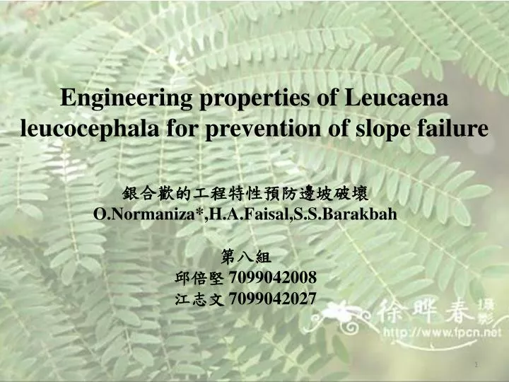 engineering properties of leucaena leucocephala for prevention of slope failure