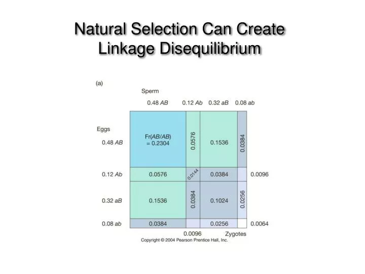 natural selection can create linkage disequilibrium