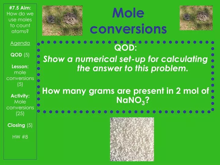 mole conversions