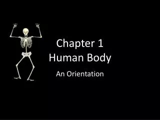 Chapter 1 Human Body