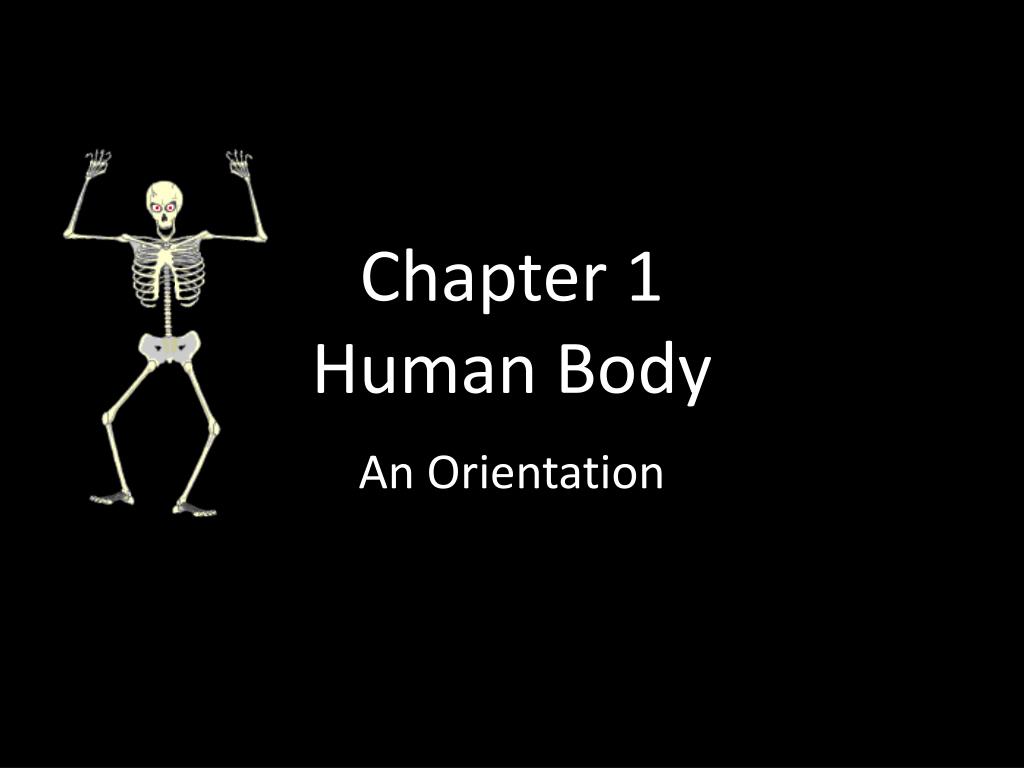PPT - Chapter 1 Human Body PowerPoint Presentation, free download - ID ...