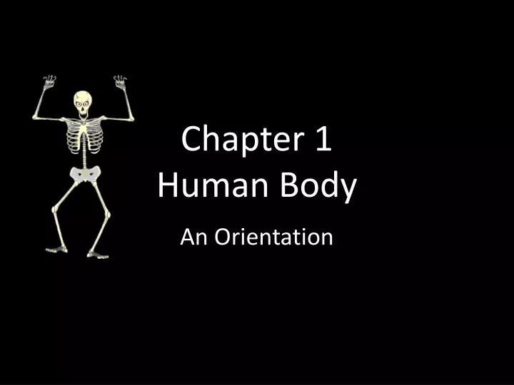chapter 1 human body