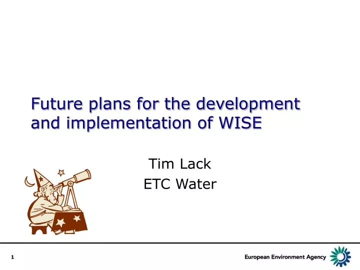 future plans for the development and implementation of wise