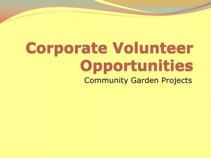 corporate volunteer opportunities