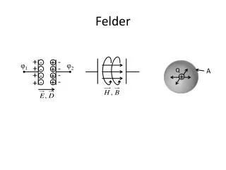 felder