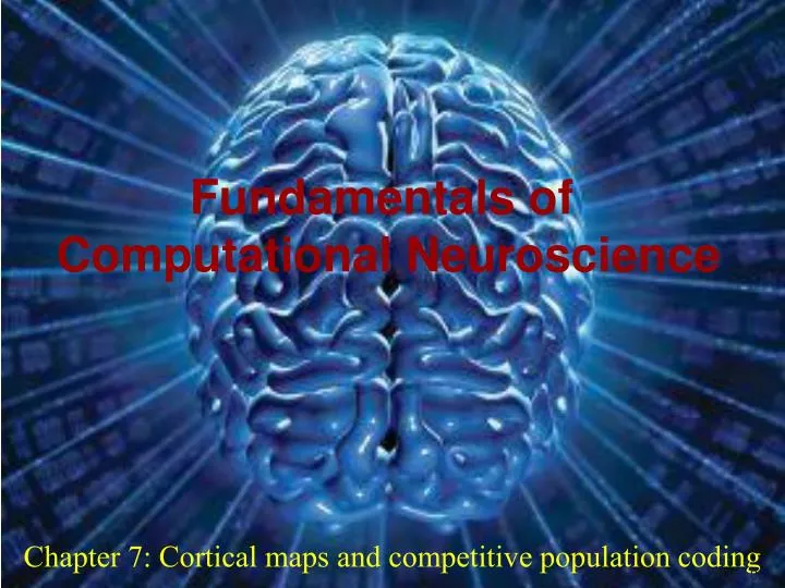 chapter 7 cortical maps and competitive population coding