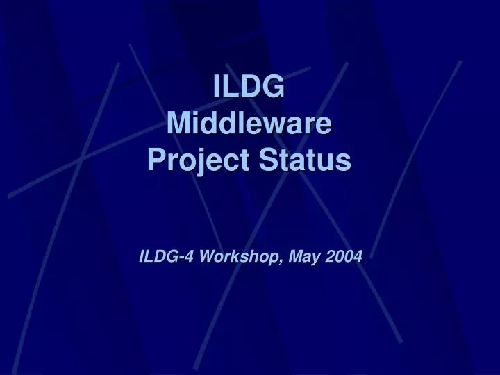 ildg middleware project status