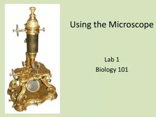 Using the Microscope