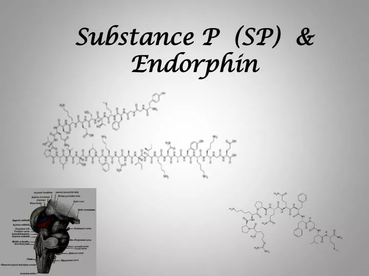 substance p sp endorphin