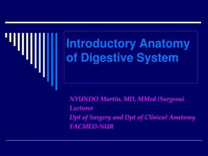 introductory anatomy of digestive system