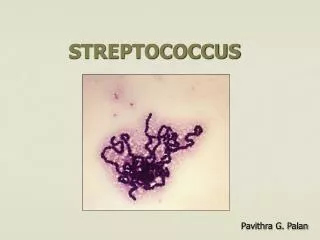 STREPTOCOCCUS