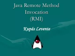 Java Remote Method Invocation (RMI)