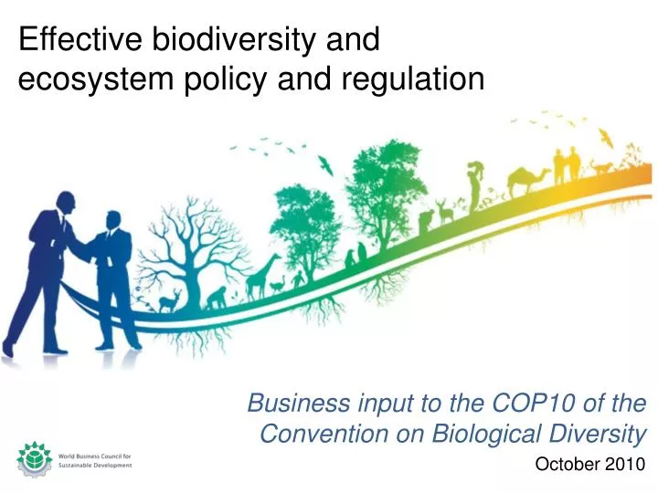 business input to the cop10 of the convention on biological diversity october 2010