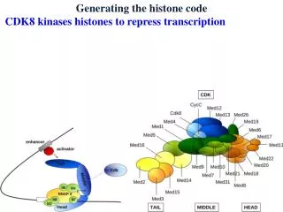 Generating the histone code CDK8 kinases histones to repress transcription