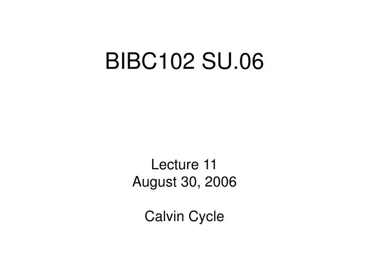 bibc102 su 06