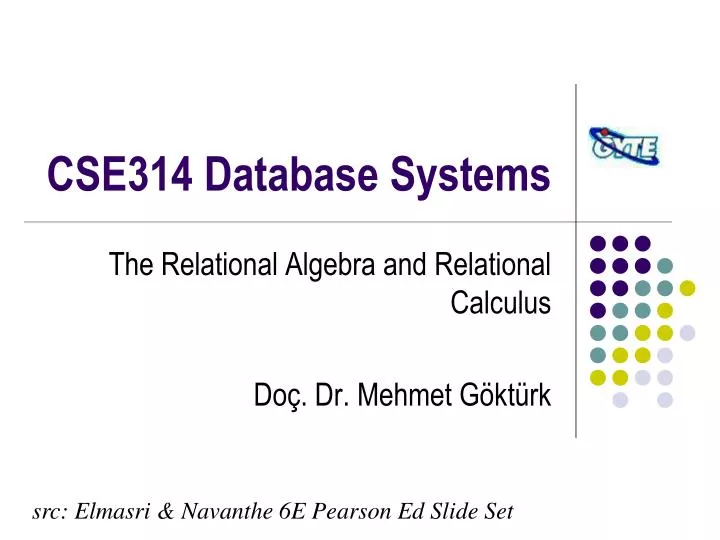cse314 database systems