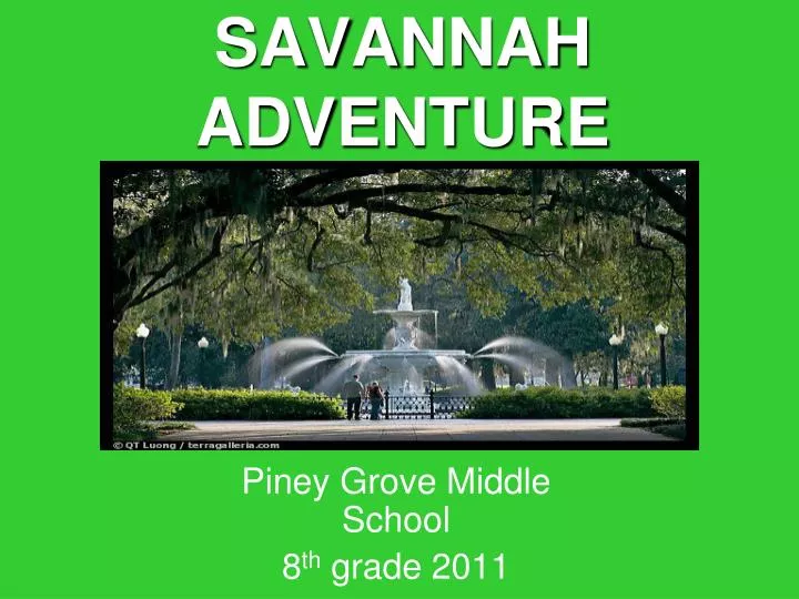 savannah adventure