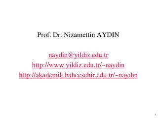 Prof. Dr. Nizamettin AYDIN naydin@ yildiz .tr www . yildiz .tr/~naydin