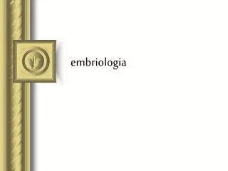 embriologia