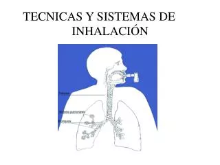 tecnicas y sistemas de inhalaci n
