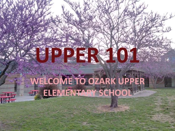 upper 101