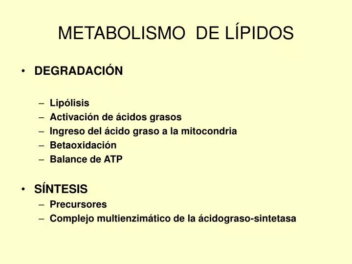 metabolismo de l pidos