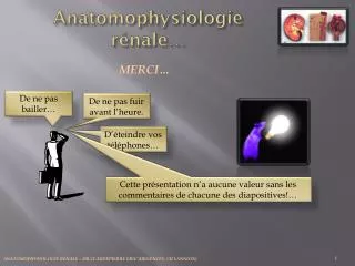 anatomophysiologie r nale