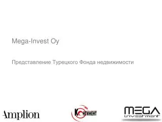 mega invest oy
