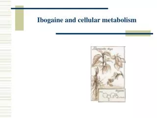 Ibogaine and cellular metabolism