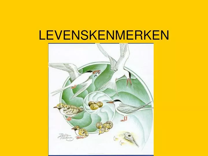 levenskenmerken