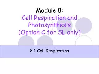 Module 8 : Cell Respiration and Photosynthesis (Option C for SL only)