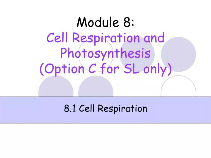 module 8 cell respiration and photosynthesis option c for sl only