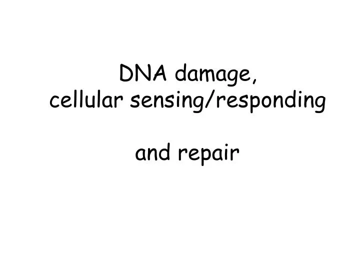 dna damage cellular sensing responding and repair