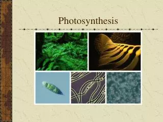 Photosynthesis