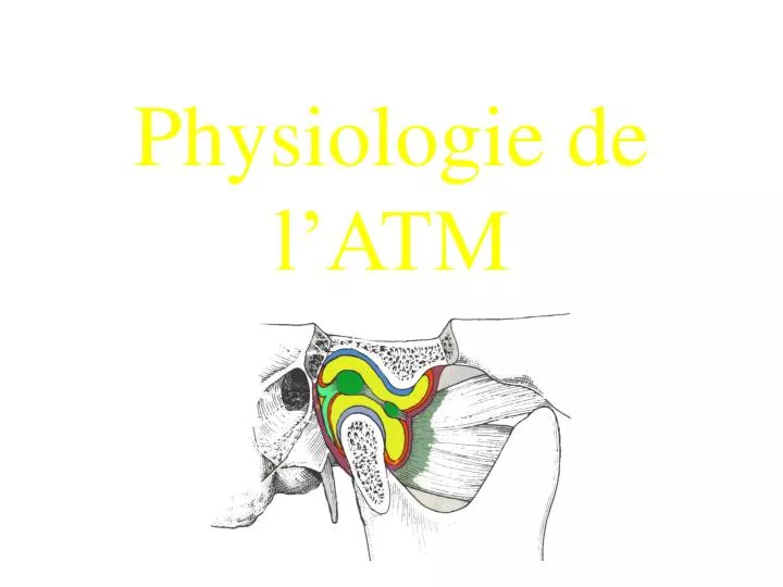 physiologie de l atm