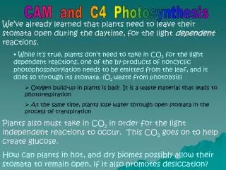 CAM and C4 Photosynthesis