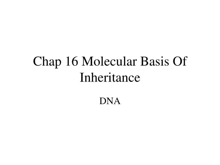 chap 16 molecular basis of inheritance