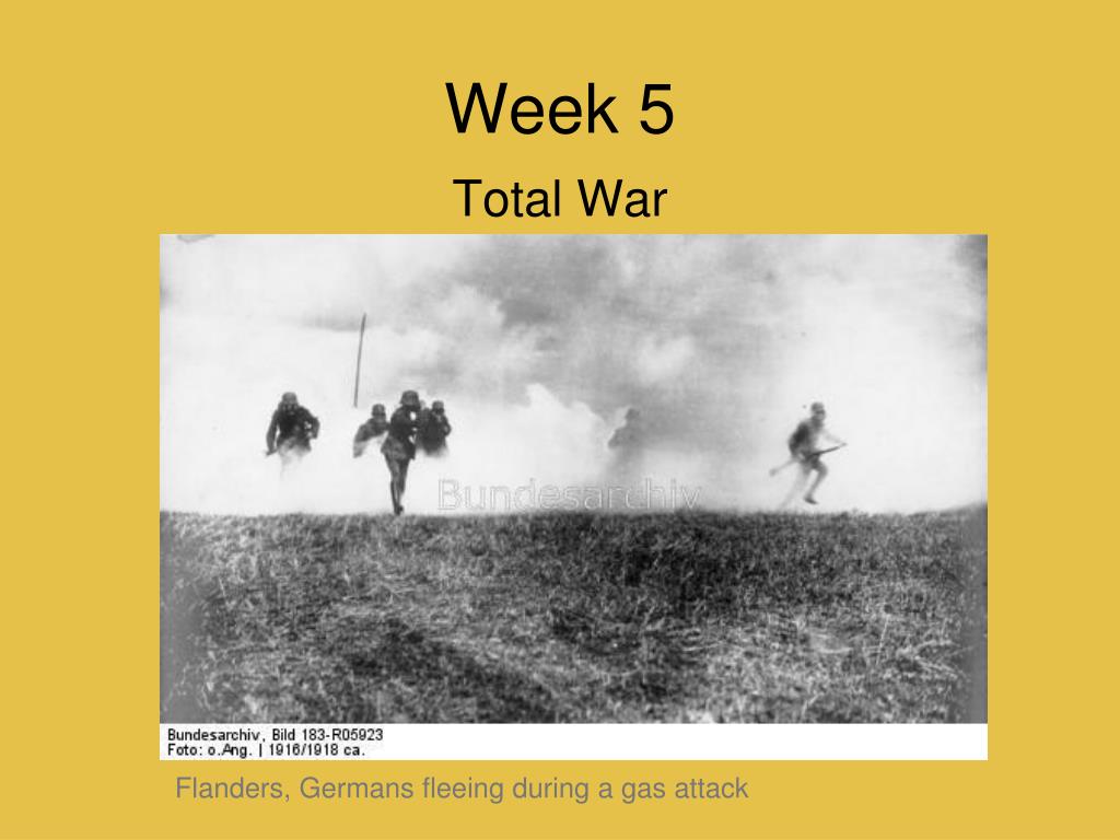The July Crisis: Path to Total War in Flanders and the European Powers - slide 1