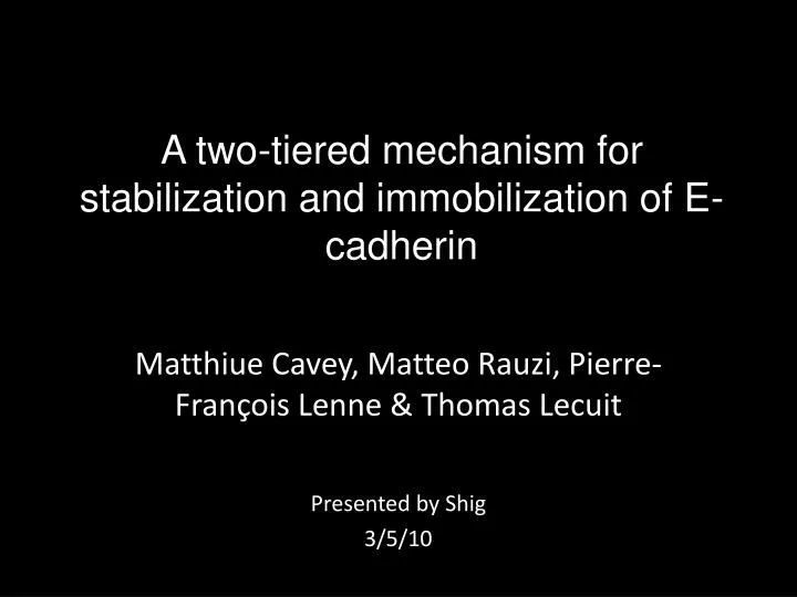 a two tiered mechanism for stabilization and immobilization of e cadherin