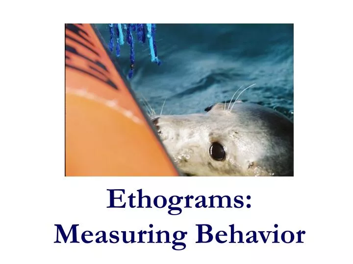ethograms measuring behavior