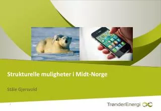 strukturelle muligheter i midt norge