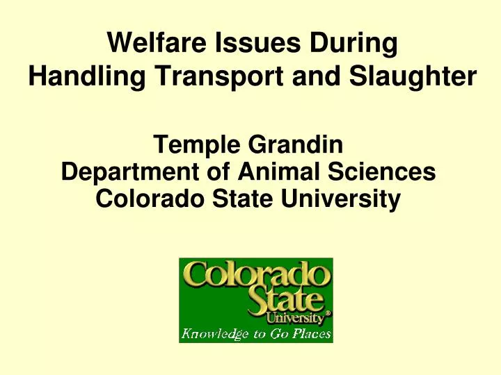 welfare issues during handling transport and slaughter