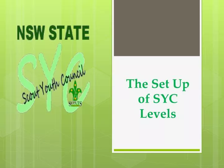 the set up of syc levels