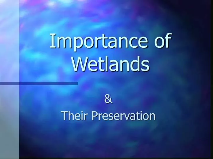 importance of wetlands